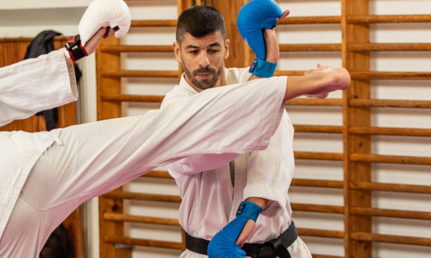 Kata- og Kumiteseminar oktober 2018