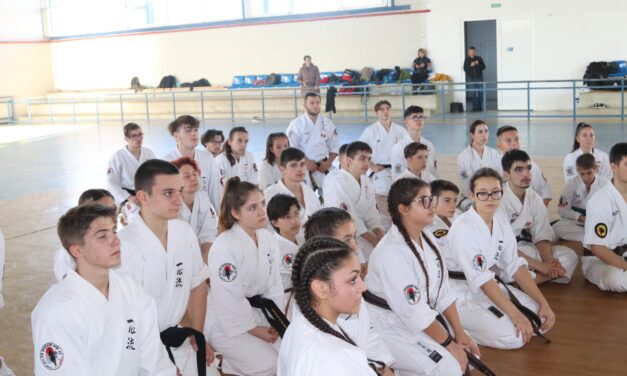 Okinawa Isshinryu Karate Gasshuku og instruktør træning i Rumænien.