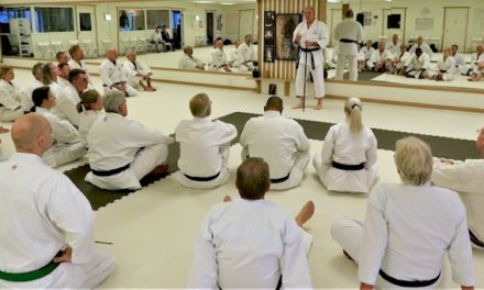 Seminar with Frank Starck-Sabroe sensei in Halmstad Karate Academy