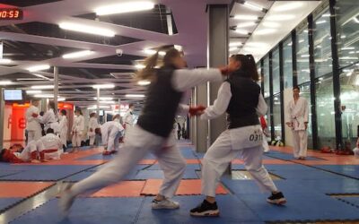 Dansk succes ved WUKF VM i Karate, Bratislava