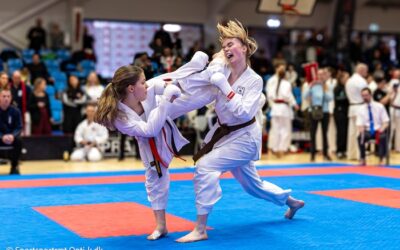 7. Shobu Ippon Tournament 2025