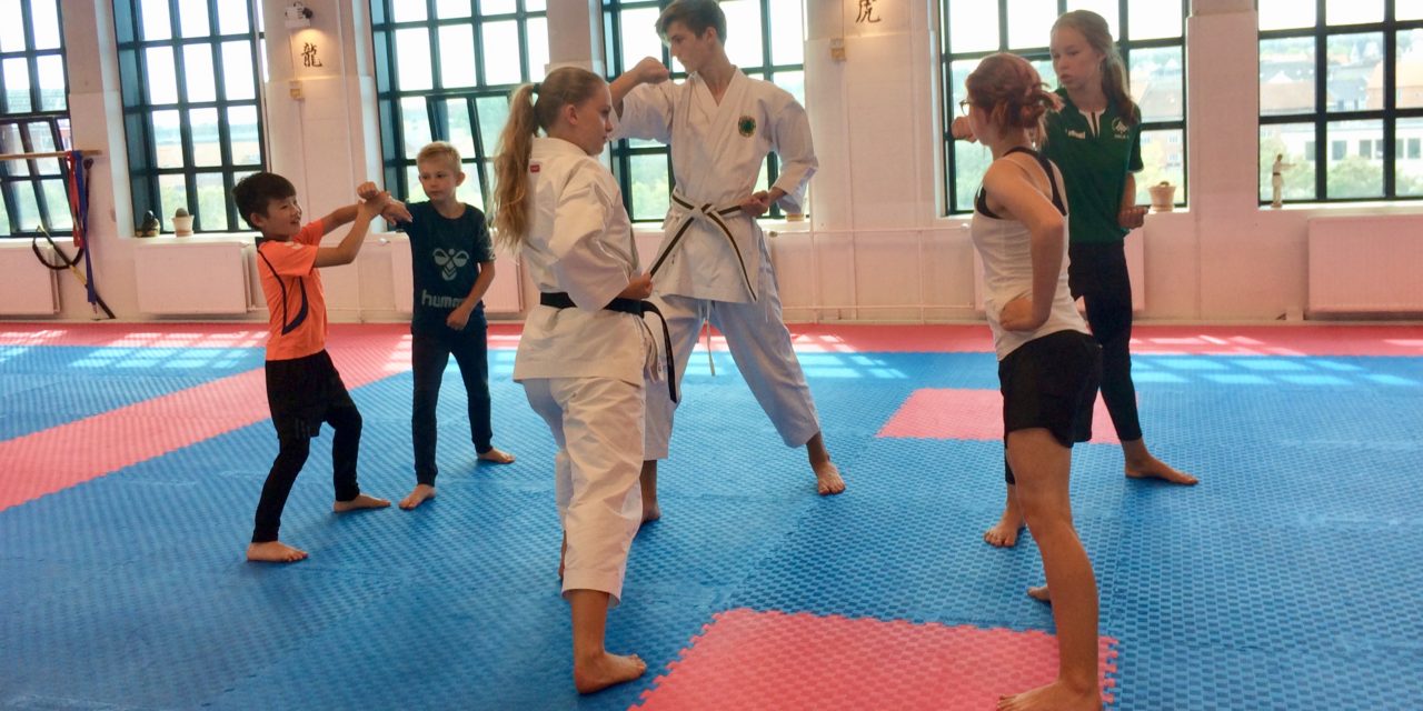 Skoleelever sveder og får nye venner på karatesommerskole
