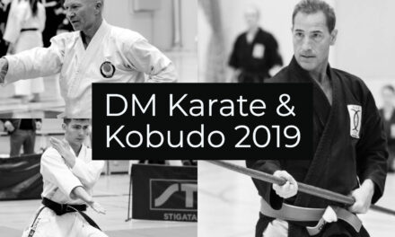 DM i Karate & Kobudo UKDK 2019