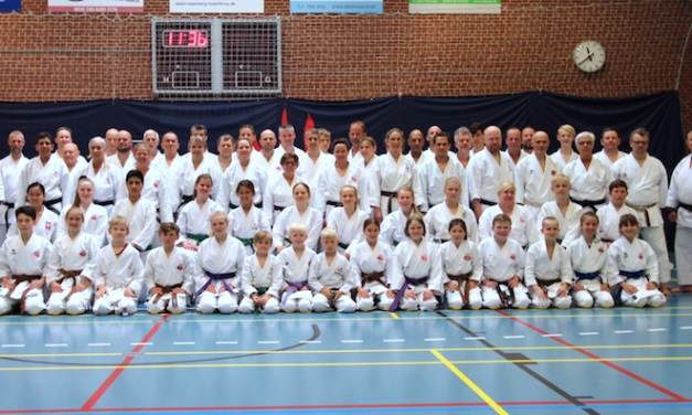 Shotogakusha Pinselejr 2018 i Horsens