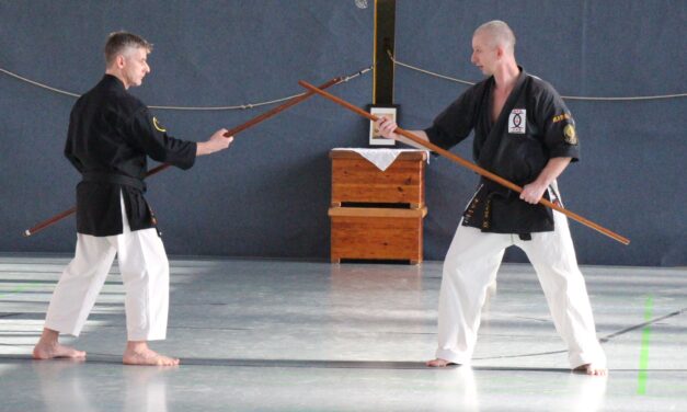 Tokushinryu Kobudo Seminar in Hamburg