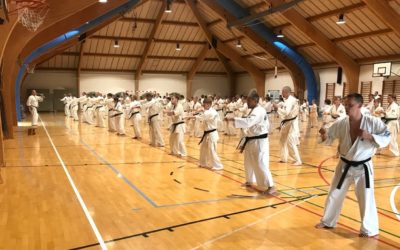 Sabaki Camp 2018