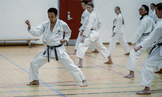 Kataweekend i Hørsholm Karateklub