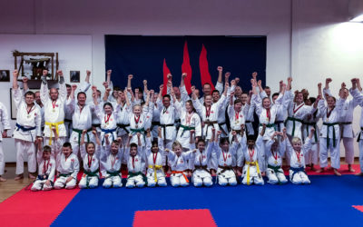 Shobu Ippon Danmark udviklingsstævne