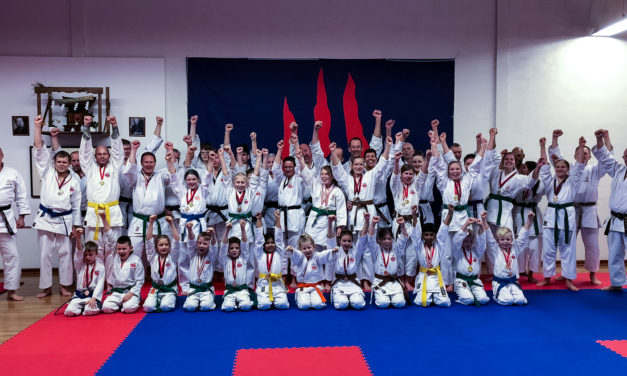 Shobu Ippon Danmark udviklingsstævne