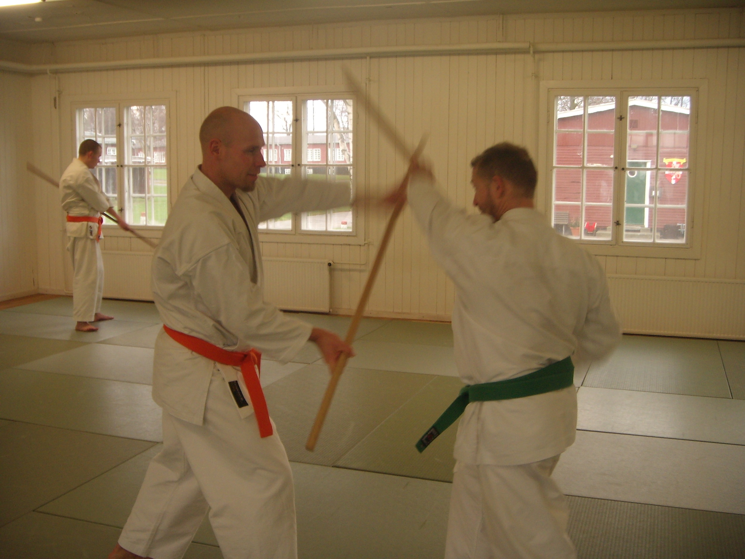 Jushinryu Ju Jitsu og Kobudo seminar på Bornholm