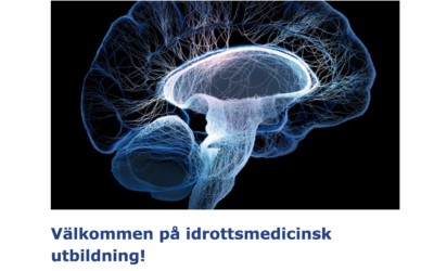 Det svenske karateforbund sætter fokus på hjernerystelser
