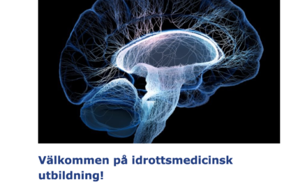 Det svenske karateforbund sætter fokus på hjernerystelser