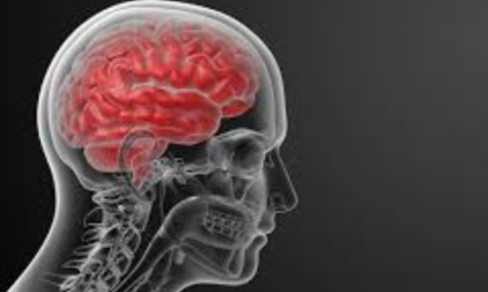 Hjernerystelse – efterlysning