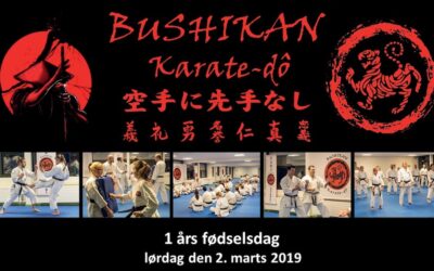 Bushikan 1 års fødselsdag