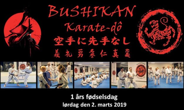 Bushikan 1 års fødselsdag