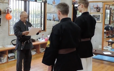 Karate og Kobudo på Okinawa