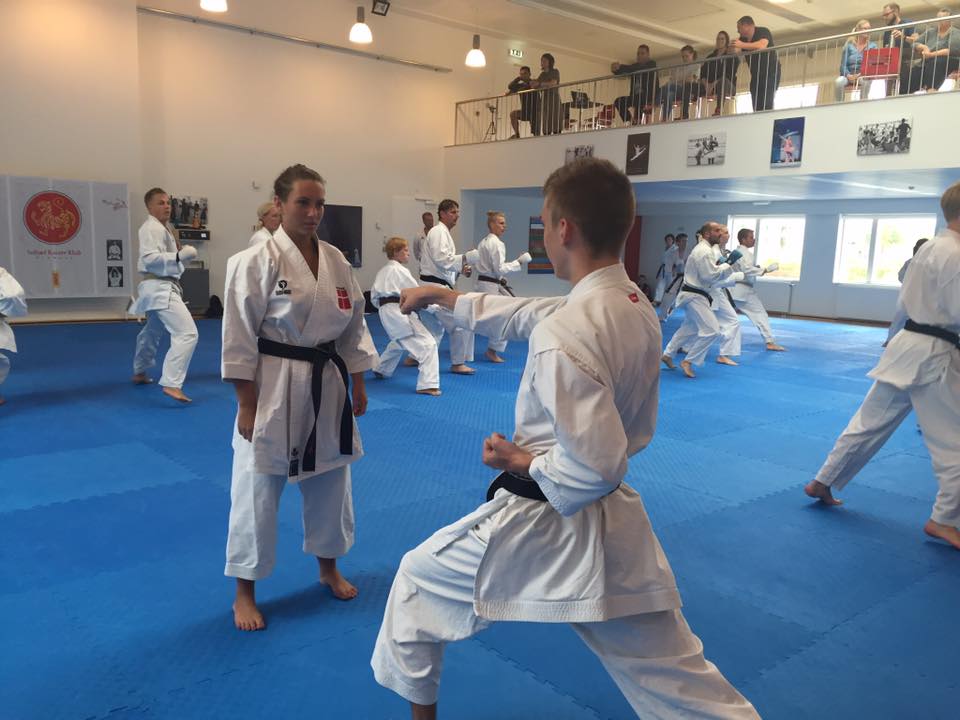 Landsholdsudtagelse i United Karate of Denmark